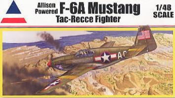 *Clearance* Accurate 1:48 F-6A Mustang Tac-Recce Fighter (LW)