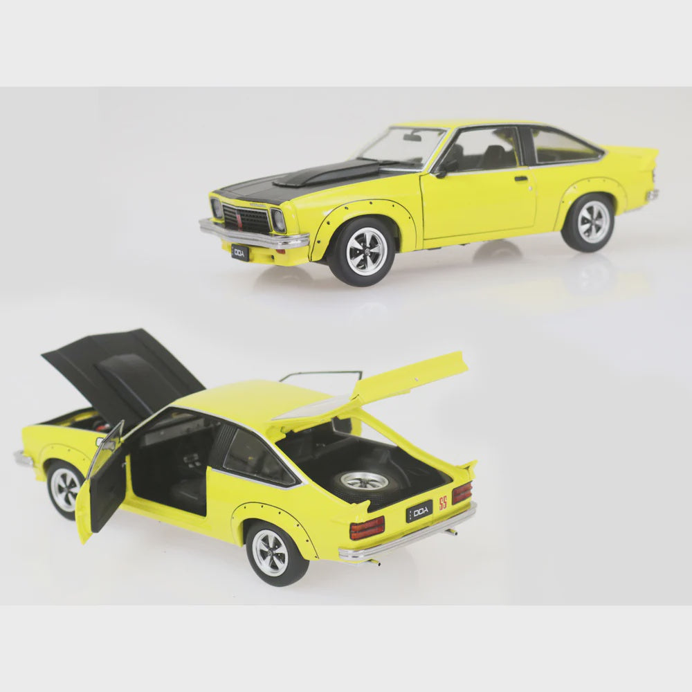 DDA 1:24 Holden Torana A9X 308 Factory Car Yellow/Black