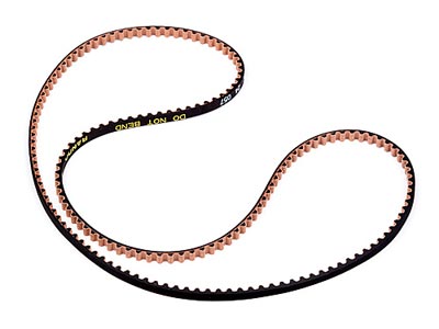 Hot Bodies TCX Front Belt 171T