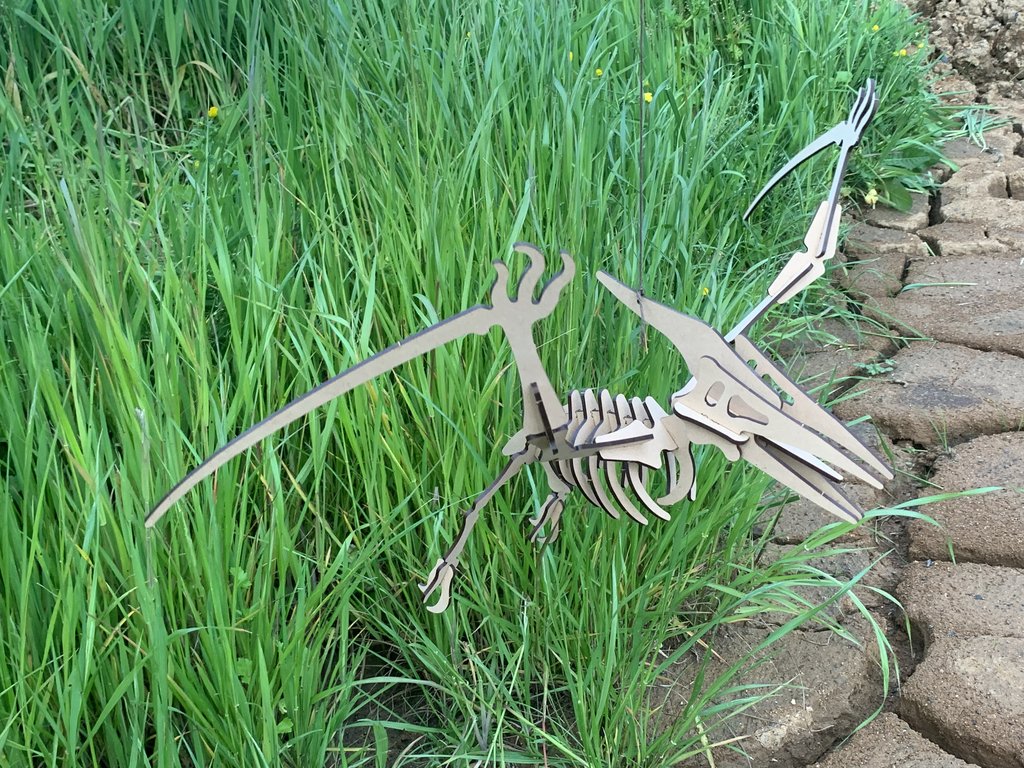 Rusty Mac Designs Pterodactyl