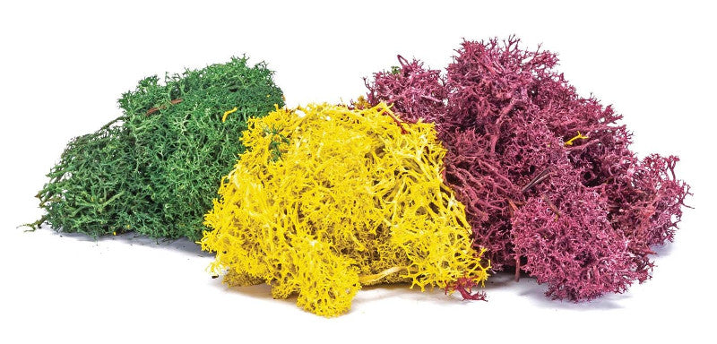 Skale Scenics Large Lichen Autumn Mix