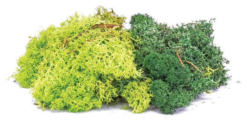 Skale Scenics Lichen Dark Green