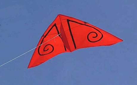 Kites