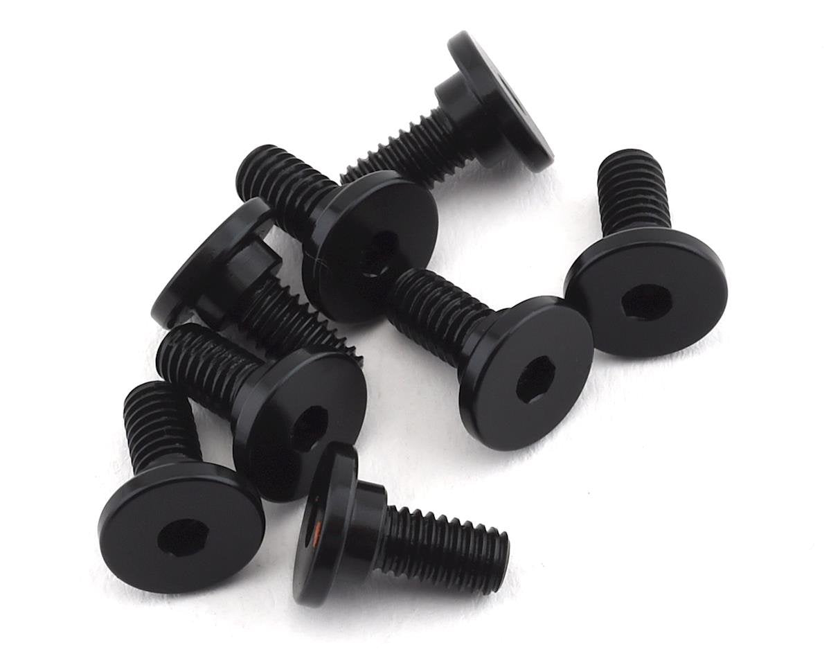 TLR Motor Mount Screws (8)