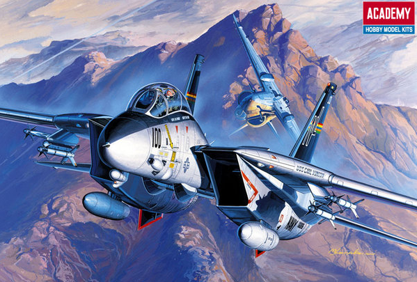 Academy 1:72 F-14A US Navy Swing-Wing