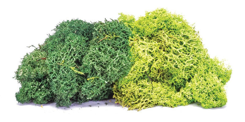 Skale Scenics Large Lichen Green Mix